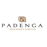 Padenga Holdings Plc, listed on Victoria Falls Stock Exchange (VFEX) logo - Similar company to Powerspeed Electrical Ltd.