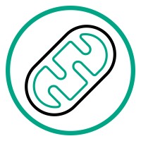 Mitodicure GmbH logo - Similar company to Acta Lab