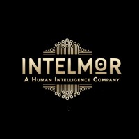 Intelmor Pvt Ltd logo - Similar company to Convergex Ai