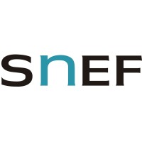 SNEF Portugal Electricidade logo - Similar company to Vidrelvas, Lda