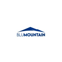 BluMountain Services logo - Similar company to Rezora