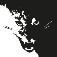 Coduar logo - Similar company to Ybzconsulting