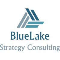 BlueLake Strategy Consulting Ltd logo - Similar company to Dawn Global