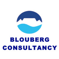Blouberg Consultancy logo - Similar company to Techmere