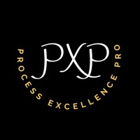 Process Excellence Pro logo - Similar company to Strategic Forecasting Analyst