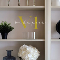 V1bvdapest logo - Similar company to Simirity