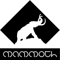 Mammoth Creative Studio, LLC logo - Similar company to Mammoth Studios