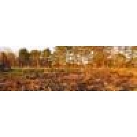 Scholl Farms