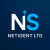 Netigent Ltd logo - Similar company to Revlink