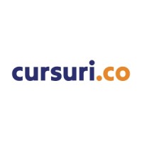 CURSURI.CO logo - Similar company to Smart & Successful