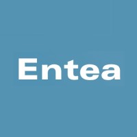 Entea logo - Similar company to Nspire
