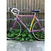 Cycling with Sisters logo - Similar company to Creative Sustainability Cic