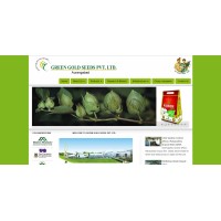 GREEN GOLD SEEDS PRIVATE LIMITED logo - Similar company to Durga Consulting