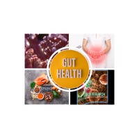 Gut Health logo - Similar company to Gut Healthy