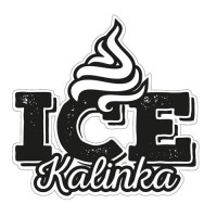 ICEKALINKA - Centrum zaopatrzenia Lodziarni logo - Similar company to Proleader Srl