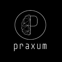 Praxum logo - Similar company to Hr Education And Development