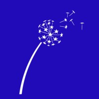 The Blossom Charity logo - Similar company to Firstfruits Services Ltd