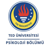 TEDU Psychology logo - Similar company to Dk Akademi