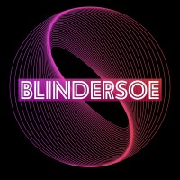Blindersoe Private Limited logo - Similar company to Zerochaos