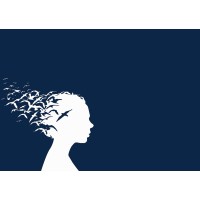 Les Nouv'L Expertes logo - Similar company to Dcg-Dscg Lycée Jb Poquelin (78)