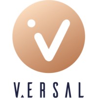 Versal Consulting logo - Similar company to Versal