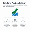 Salesforce Academy - Pakistan logo - Similar company to Binary