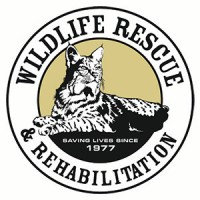 Wildlife Rescue & Rehabilitation Inc. logo - Similar company to World Bird Sanctuary