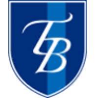 テクノブレイブ株式会社 logo - Similar company to Magnescale Co., Ltd.