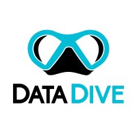 DataDive logo - Similar company to Datadive