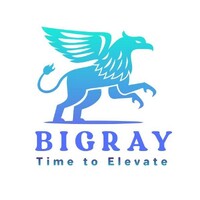 BIGRAY logo - Similar company to Oasis Eq
