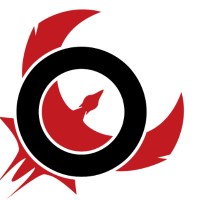 Irayo logo - Similar company to Solvexis Tech