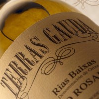 Grupo Vitivinícola Terras Gauda logo - Similar company to Quelqum Servicios Para Empresas, S.L.