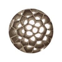 ProPoliS KU Leuven logo - Similar company to Hdm Engineers