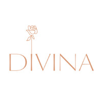 Divina Wines logo - Similar company to Dash Labz