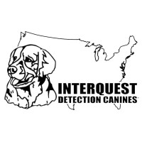 Interquest Detection Canines logo - Similar company to Great Clips