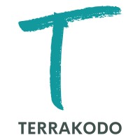 TERRAKODO logo - Similar company to Vayetek
