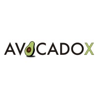 Avocadox logo - Similar company to The100