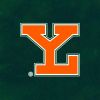 Leones De Yucatán logo - Similar company to Generales De Durango