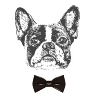 L'Agence d'Ignace logo - Similar company to Mobjet