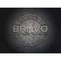 BRAVO LOG Transportes logo - Similar company to Bravo Logistics, Llc