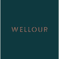 Wellour Couros logo - Similar company to Perforce Dois Irmãos