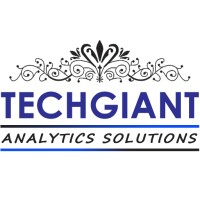 TECHGIANT ANALYTICS SOLUTIONS LLP logo - Similar company to Techgiant