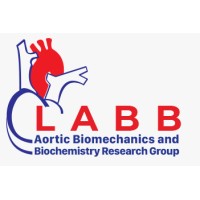 LABB Group logo - Similar company to The Biomedeng Association