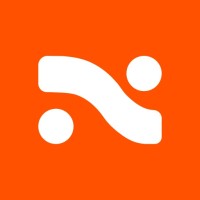 NetPractice logo - Similar company to Blissora