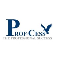 ProfCess 2.0 logo - Similar company to Kokoro.Doctor