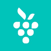 Berrycast logo - Similar company to Openmind Technologies Inc