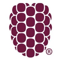 Dewberry logo - Similar company to Dewberry Advisory Services (P) Ltd