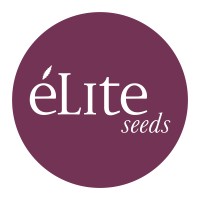 Élite Seeds logo - Similar company to Soft Secrets