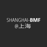 Shanghai BMF logo - Similar company to Efectívate