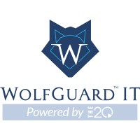 WOLFGUARD IT (acquired by The 20 MSP) logo - Similar company to Wolfguard